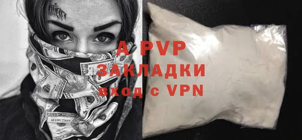ПСИЛОЦИБИНОВЫЕ ГРИБЫ Краснослободск