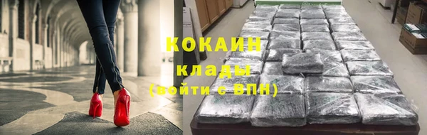 шишки Коряжма