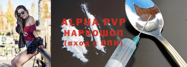 шишки Коряжма