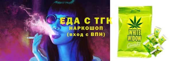 шишки Коряжма