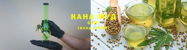 шишки Коряжма