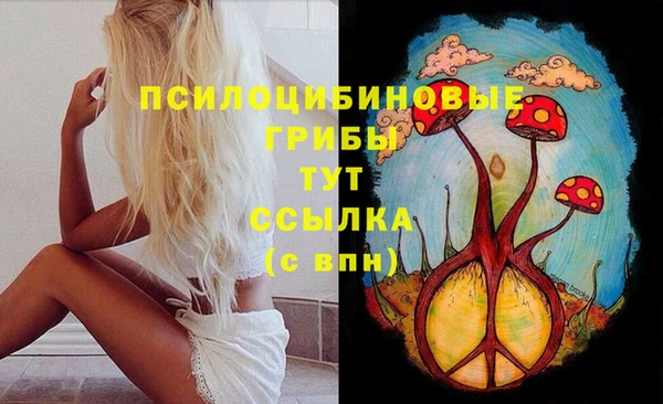 2c-b Костерёво