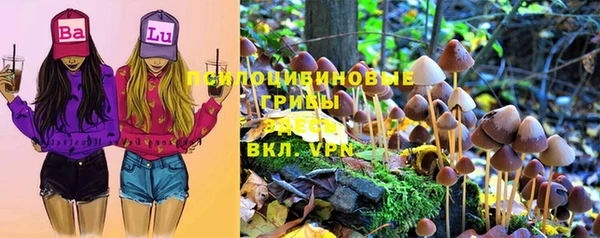 2c-b Костерёво