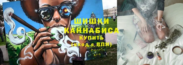шишки Коряжма