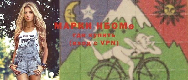 шишки Коряжма