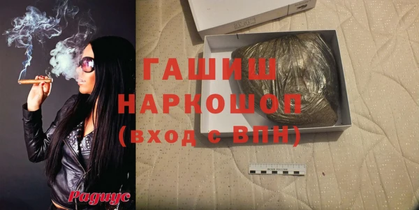 шишки Коряжма