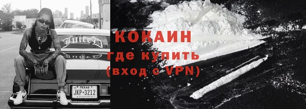 шишки Коряжма