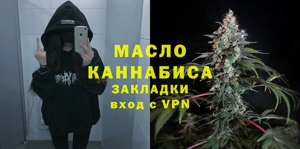 шишки Коряжма